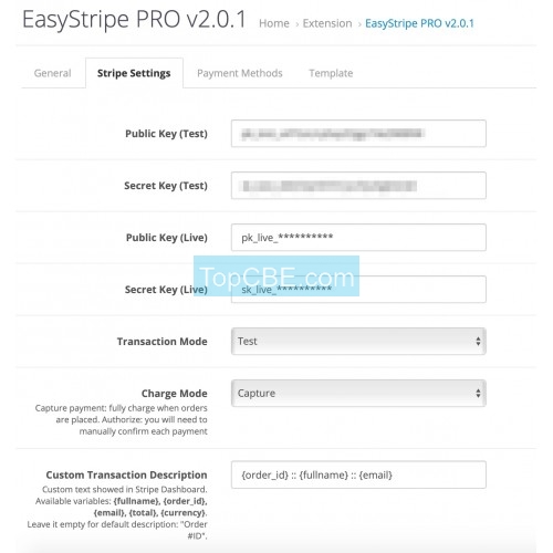 tcbe跨境电商 Stripe Gateway PRO Apple Pay SCA 3D Secure