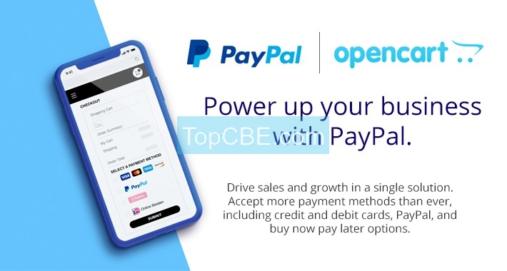 PayPal 支付 PayPal Commerce Platform Integration