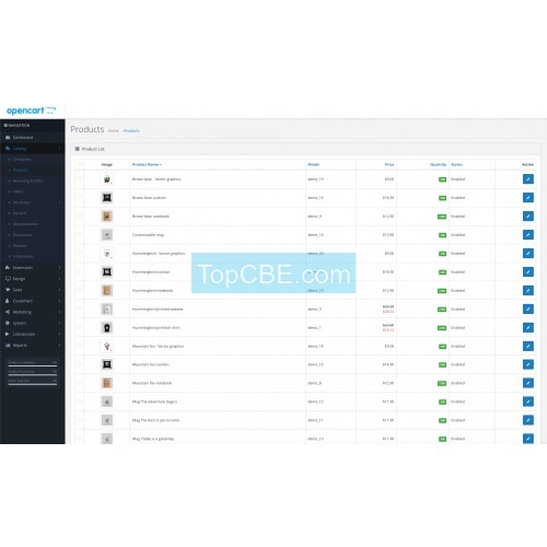 TCBE 跨境电商 Opencart到Opencart数据迁移