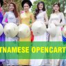 Opencart 越南语言包 Vietnamese Language pack